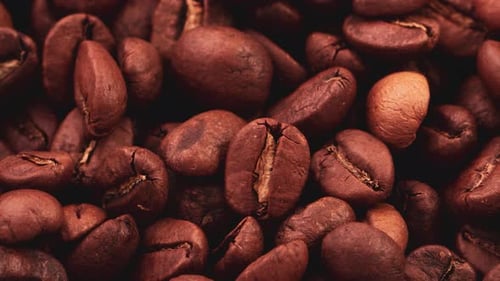 Close up View of Roasted Coffee Beans