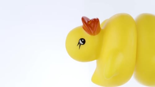 Close Up of a Yellow Rubber Duck