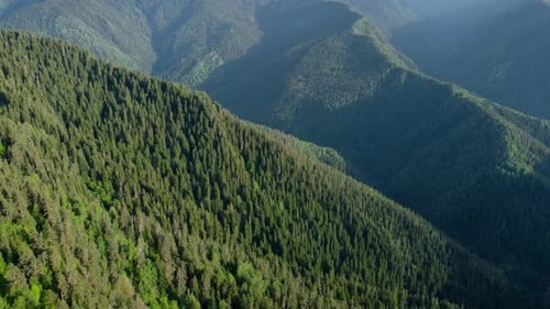 Mountain and forest aerial view