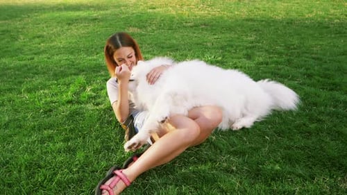 Woman Hugging Dog on Green Grassy Field