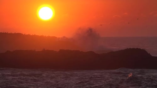 Seagulls Over Rocks in Sea Against Sunset