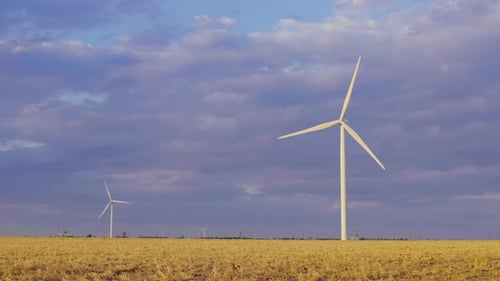 Energy producing wind turbines. wind turbines on field.