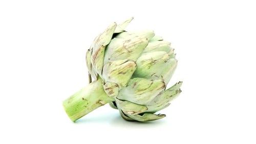 Single Artichoke Loopable File