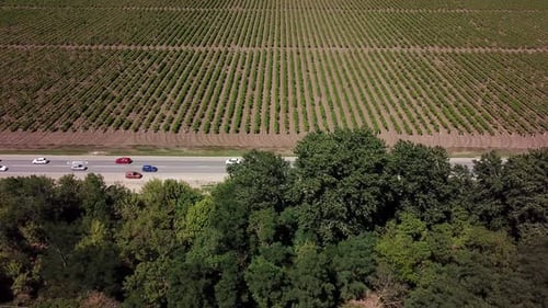 Aerial View of Highway Road Between Meadow and Agricultural Field