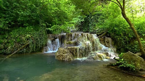 Vidéo avec une belle cascade dans une forêt printanière verdoyante