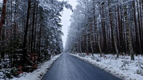 Black asphalt road in snowy winter. Transport in winter