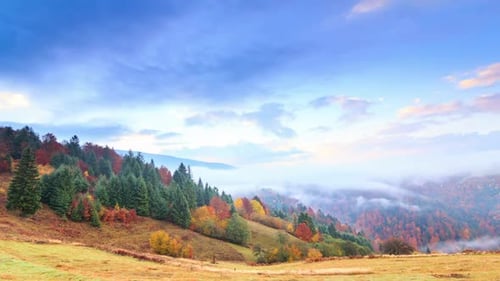 Fog Rolling Over Autumn Forest at Sunrise Time Lapse