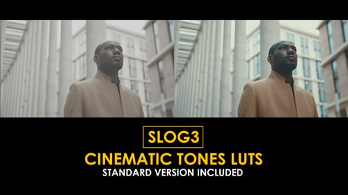 Slog3 Cinematic Tones and Standard LUTs