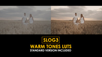 Slog3 Warm Tones and Standard LUTs