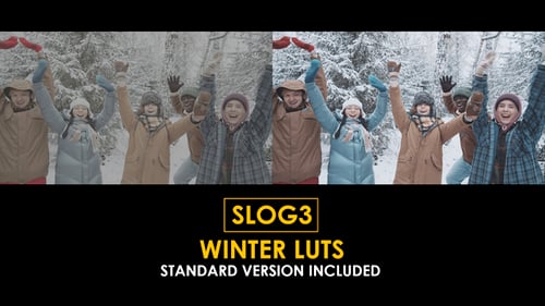 Slog3 Winter and Standard Color LUTs