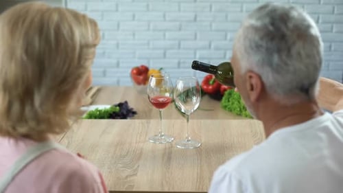 Senior Couple Enjoying Wine Together at Home