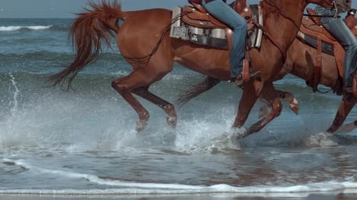 Superzeitlupenaufnahme von Frauen, die am Strand von Oregon Pferde reiten, aufgenommen auf Phantom Flex 4K