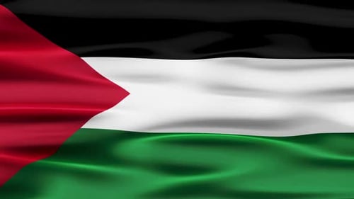 Realistic Waving Palestine Flag Animation