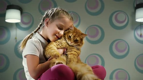 Girl Embraces Orange Tabby Cat Lovingly Indoors