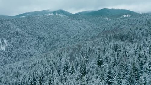 Forest Mountains Snow Cold Winter Wood Hill Frozen Travel Nature