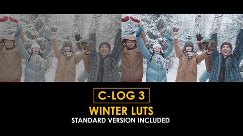 C-Log3 Winter and Standard LUTs