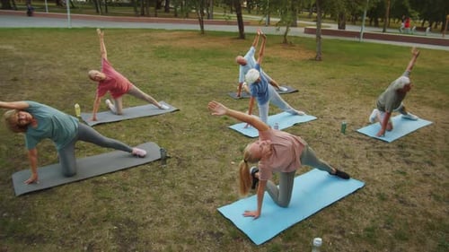 Yoga Teacher and Elderly People Practicing Gate Pose in Park