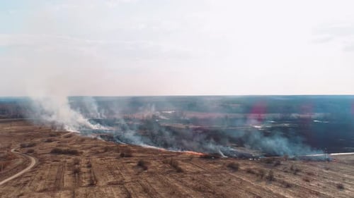 Forest and Field Fire. Dry Grass Burns, Natural Disaster. Aerial View. Smooth Flight Near the Fire