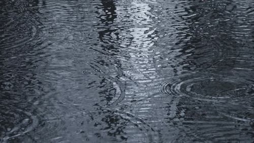Rains