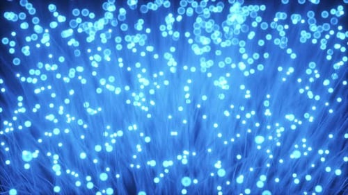 Distribution of the Light Signal