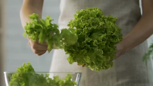 Girl dividing lettuce leaves and putting in bowl, making fresh organic salad