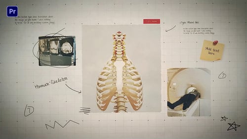 Dynamic Medical Science Research Presentation