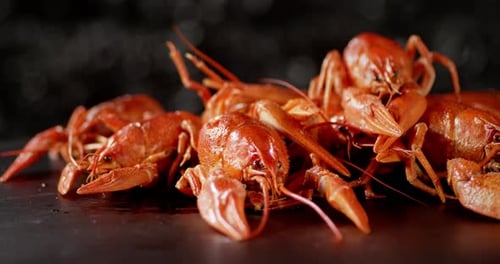 Fresh Boiled Crayfish Slowly Rotate on the Table.