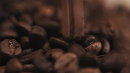 Close Up of Roasted Coffee Beans