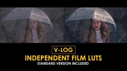 V-Log Independent Film and Standard LUTs