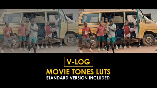 V-Log Movie Tones and Standard LUTs