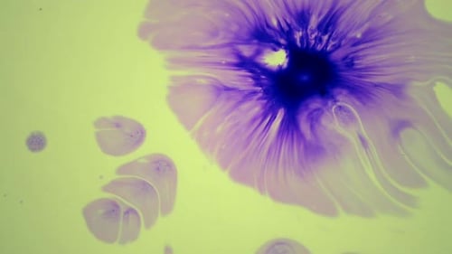 Abstract Violet Liquid Ink Spreading on Green