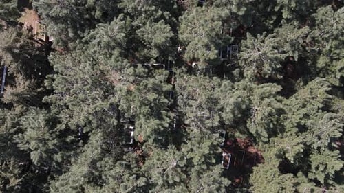 Aerial Drone Muslim Grave Cementry