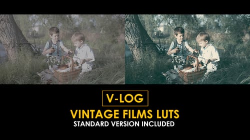 V-Log Vintage Film and Standard Color LUTs