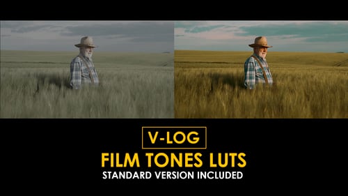 V-Log Film Tones and Standard Color LUTs