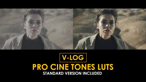 V-Log Pro Cine Tones and Standard Color LUTs