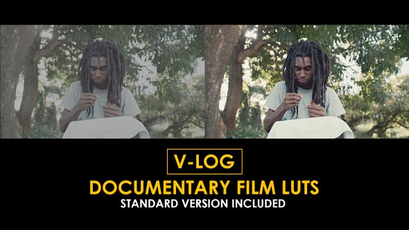 Professional V-Log Color Grading Presets for Cinematic Documentary Film ...