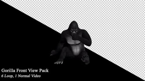 Gorilla-Frontansicht-Paket
