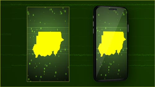 Futuristic Digital Data Scan and Reveal