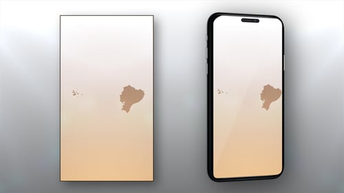 Digital Ecuador Map Dots Build Up Reveal Animation