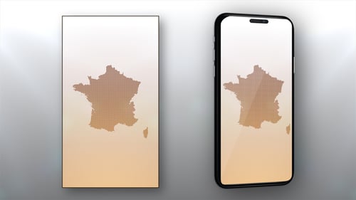 Geometric Dotted Map of France Reveal