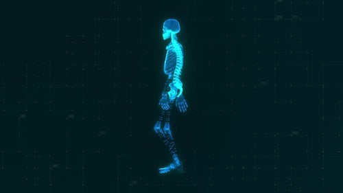 Holographic Skeleton Walking Medical Animation