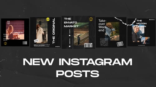 New Instagram Posts