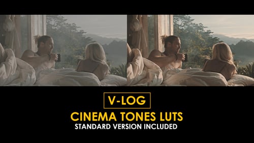 V-Log Cinema Tones and Standard LUTs