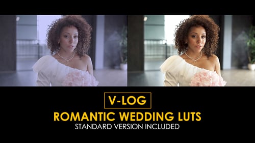 V-Log Romantic Wedding and Standard LUTs