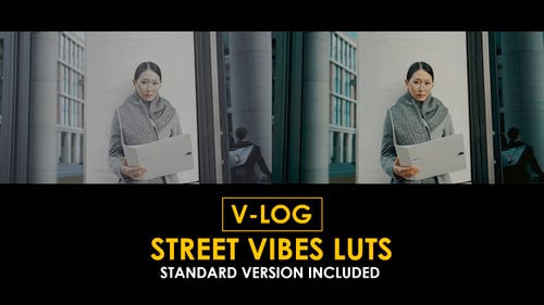 V-Log Street Vibes and Standard LUTs