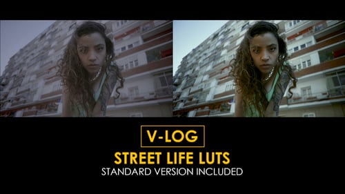 V-Log Street Life and Standard LUTs