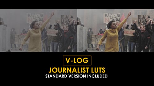 V-Log Journalist and Standard LUTs