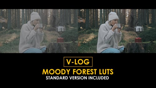 V-Log Moody Forest and Standard LUTs