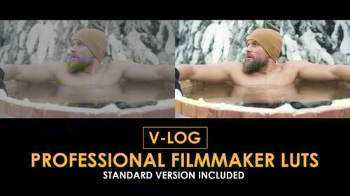 V-Log Professional Filmmaker and Standard LUTs