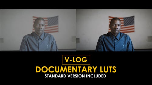V-Log Documentary and Standard Color LUTs